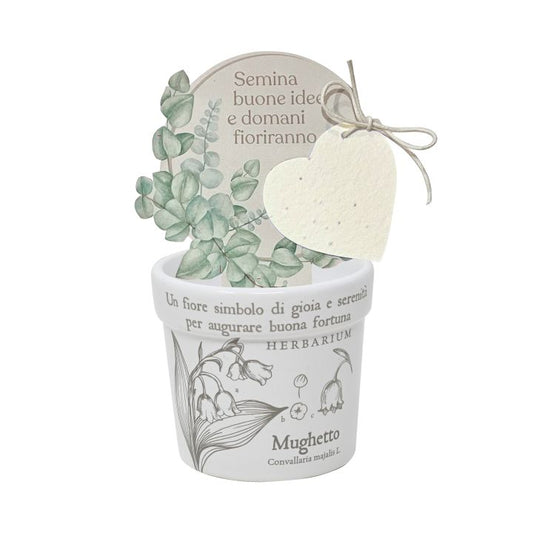 Cachepot "mughetto" + carta piantabile cuore